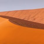 Dune